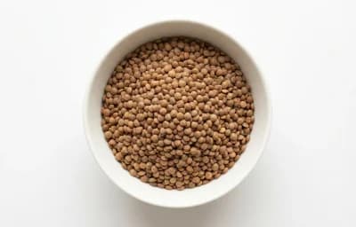 whole brown lentils