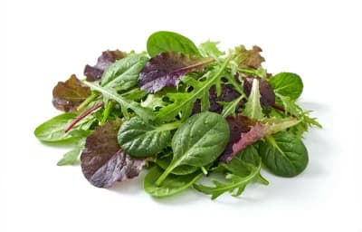 mixed spring greens