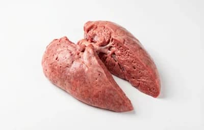 raw beef lungs