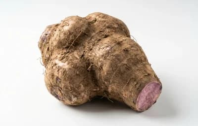 raw hawaii mountain yam