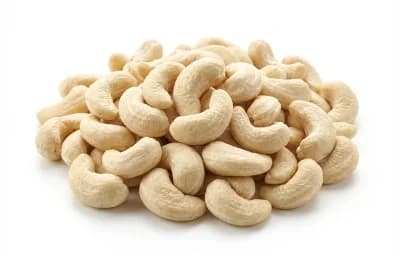 cashew nut