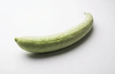 long pale green snake gourd