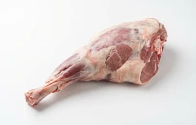 sheep leg
