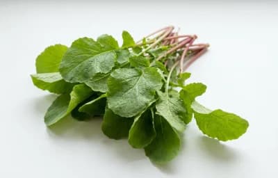 radish greens