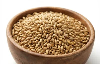 american 2-row pale malt