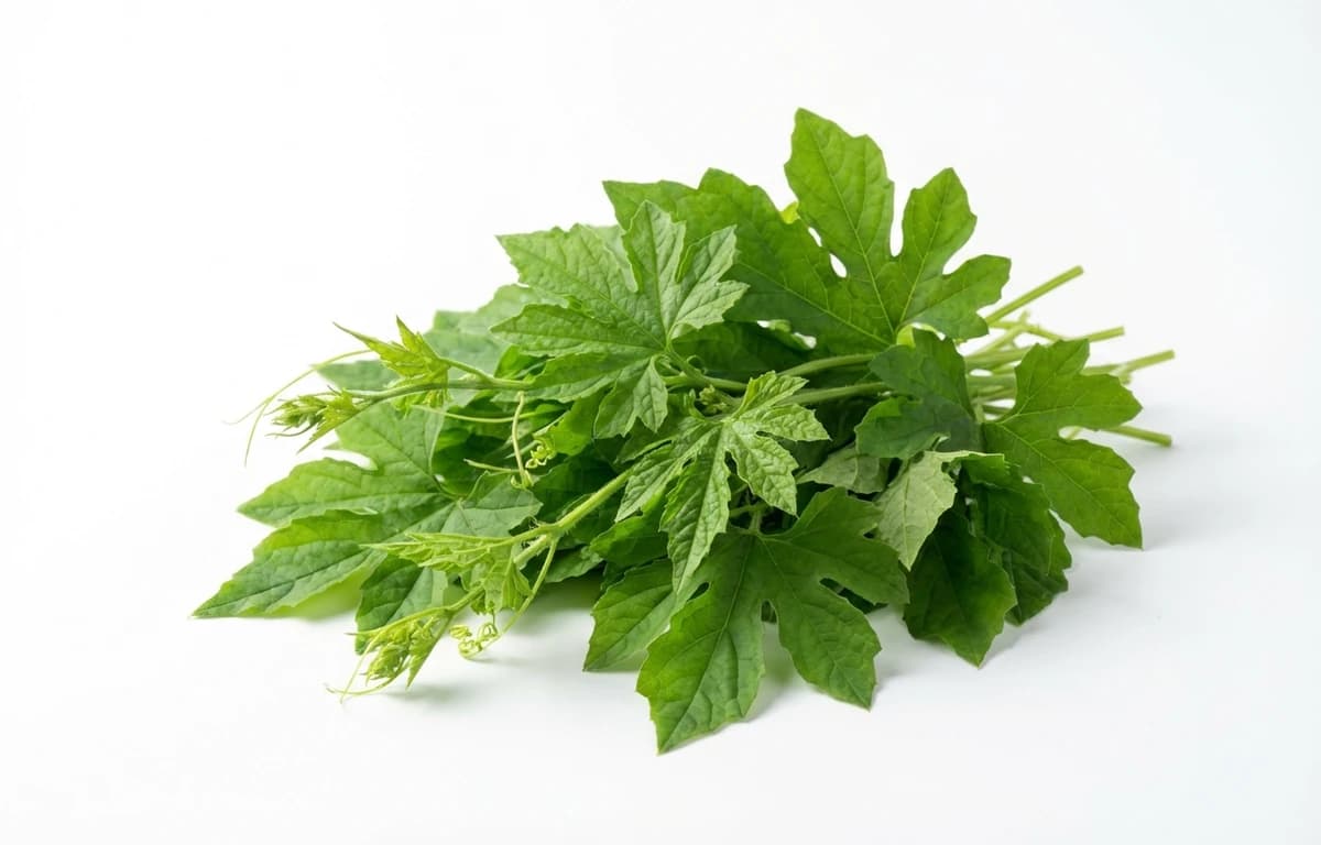 raw balsam-pear leafy tips