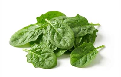 Spinach Leaves