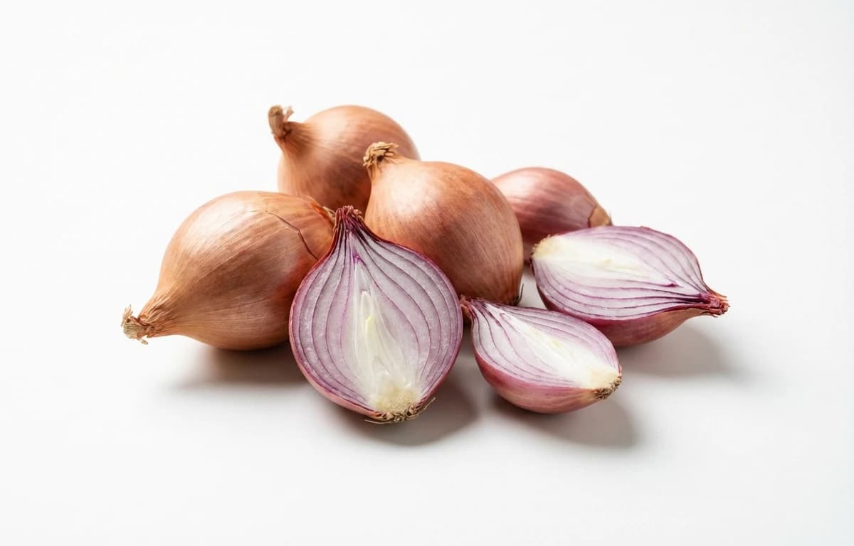 shallot