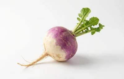 turnip