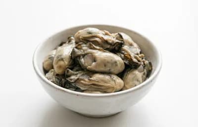 canned eastern oyster