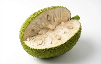 green jackfruit