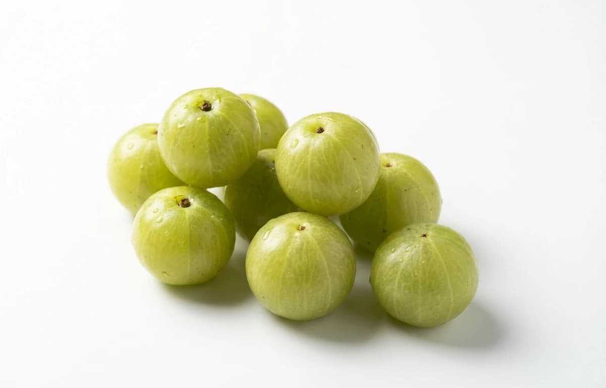 indian gooseberry