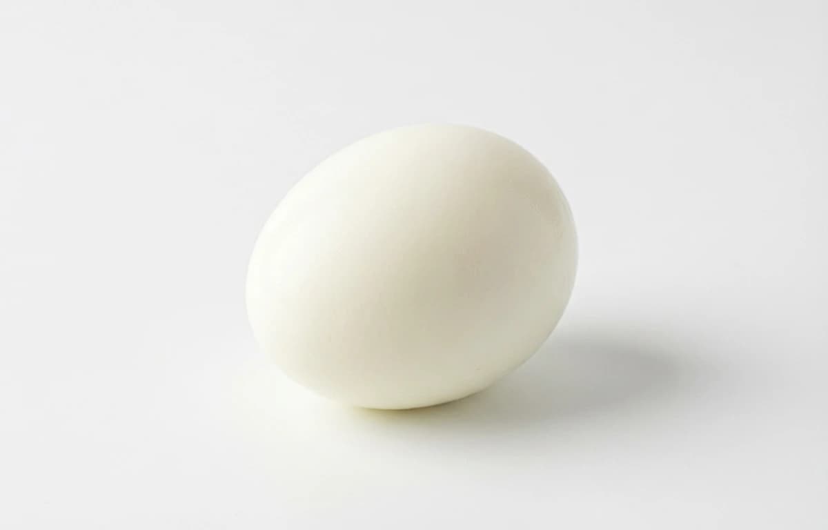 boiled whole country hen egg