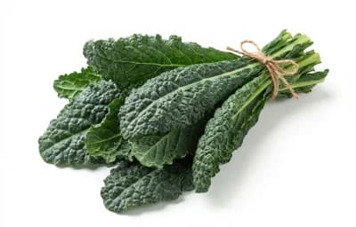 lacinato kale