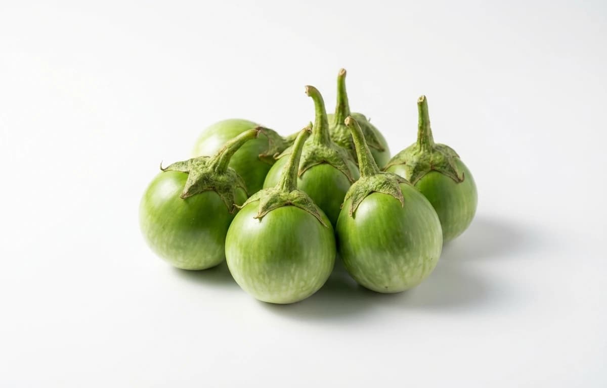 thai eggplant