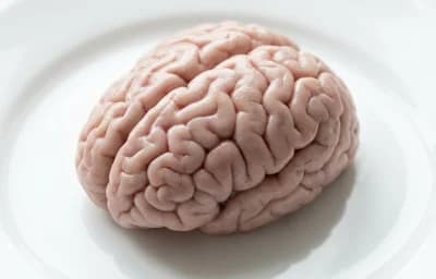 raw pork brain