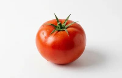 Medium Tomato