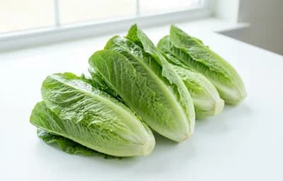 romaine lettuce