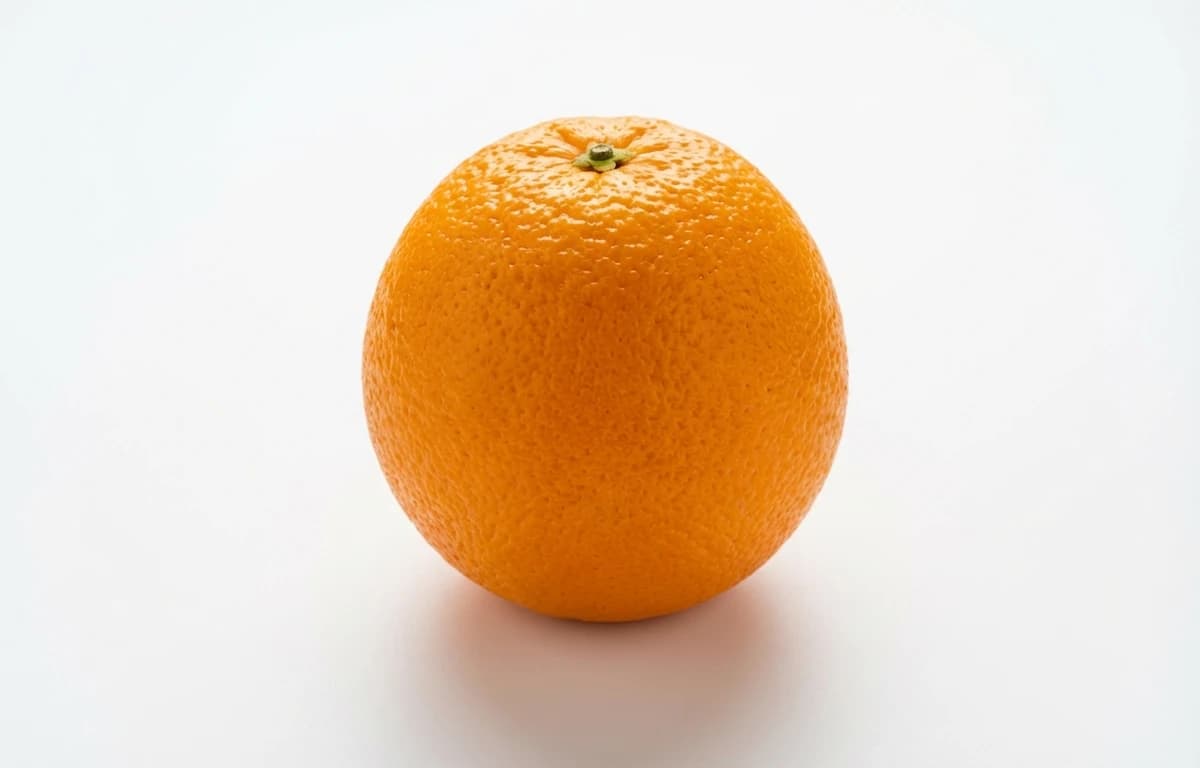 raw florida orange