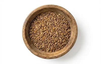 rye malt