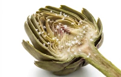 boiled salted globe artichoke