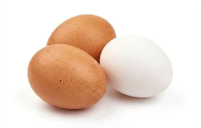 eggs