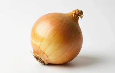 medium yellow onion