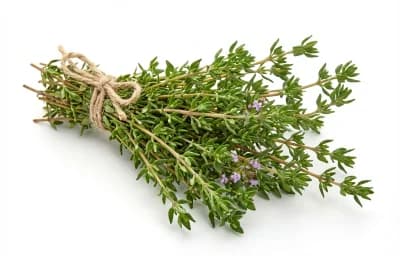 fresh thyme