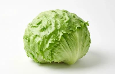 raw iceberg lettuce