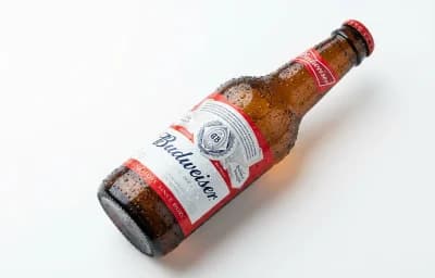 budweiser beer