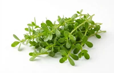 brahmi greens