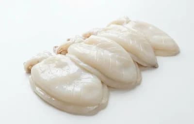 raw cuttlefish