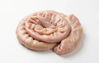 pork intestines