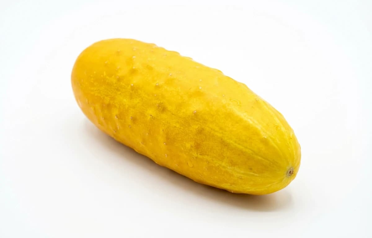 yellow cucumber