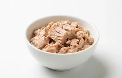 canned light tuna in water