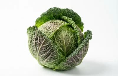 raw savoy cabbage