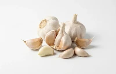 garlic