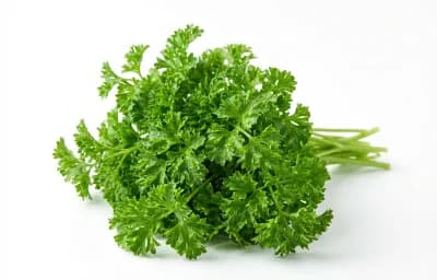 parsley