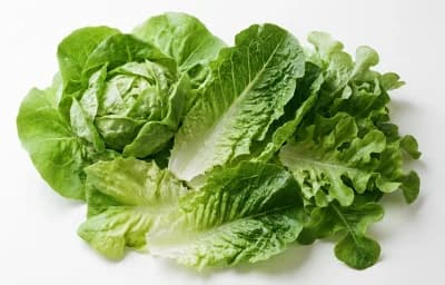 lettuce leaves