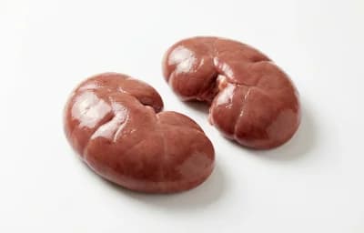 calf kidneys