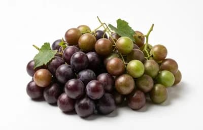 raw muscadine grapes