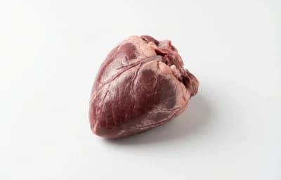 raw pork heart