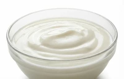 lowfat plain yogurt