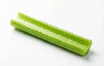 celery rib