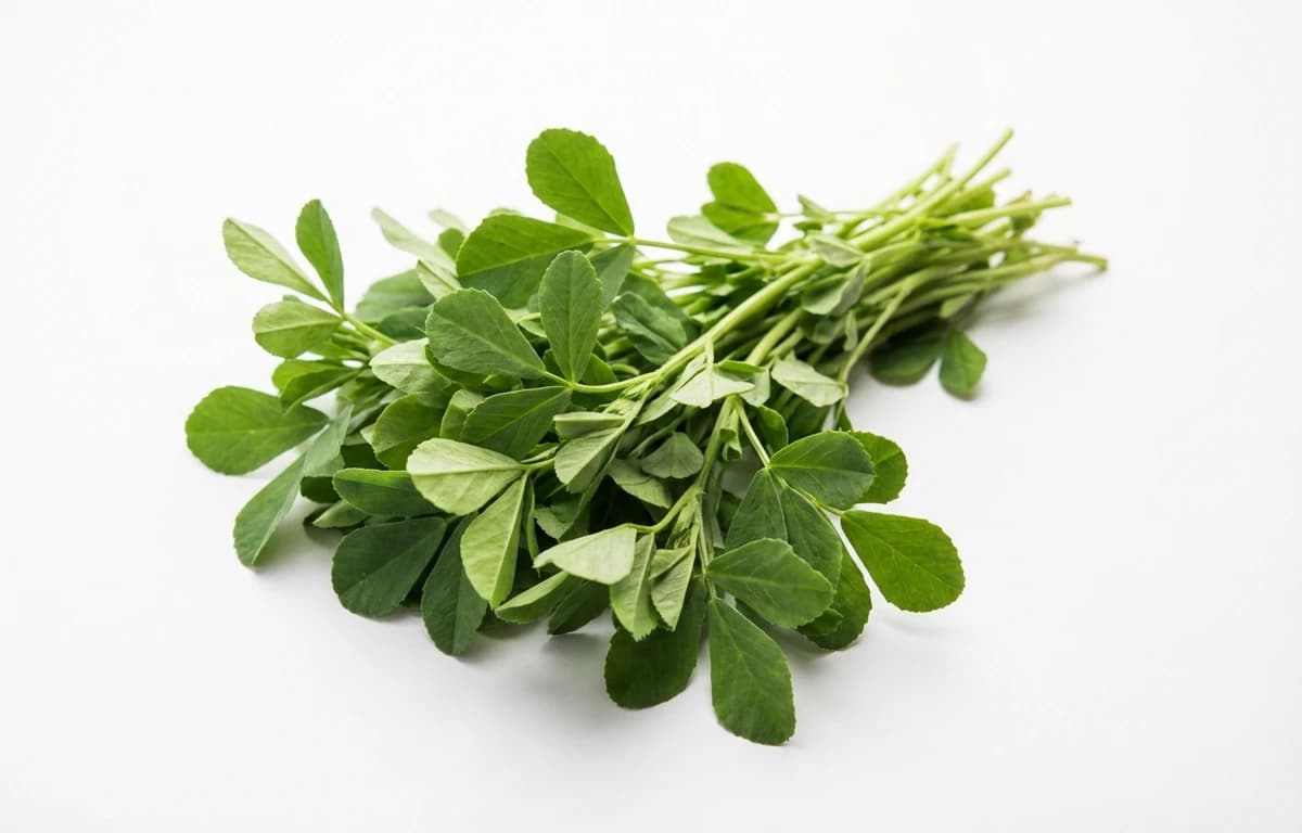 fenugreek leaves