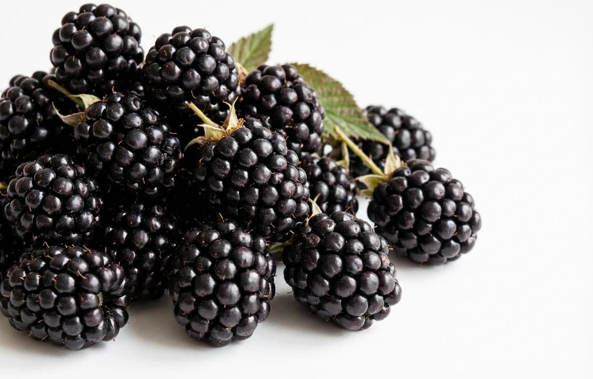 black berry