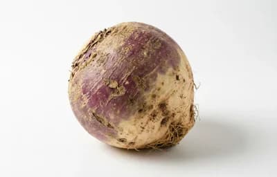 rutabaga