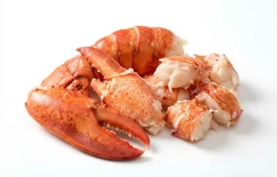 lobster meat