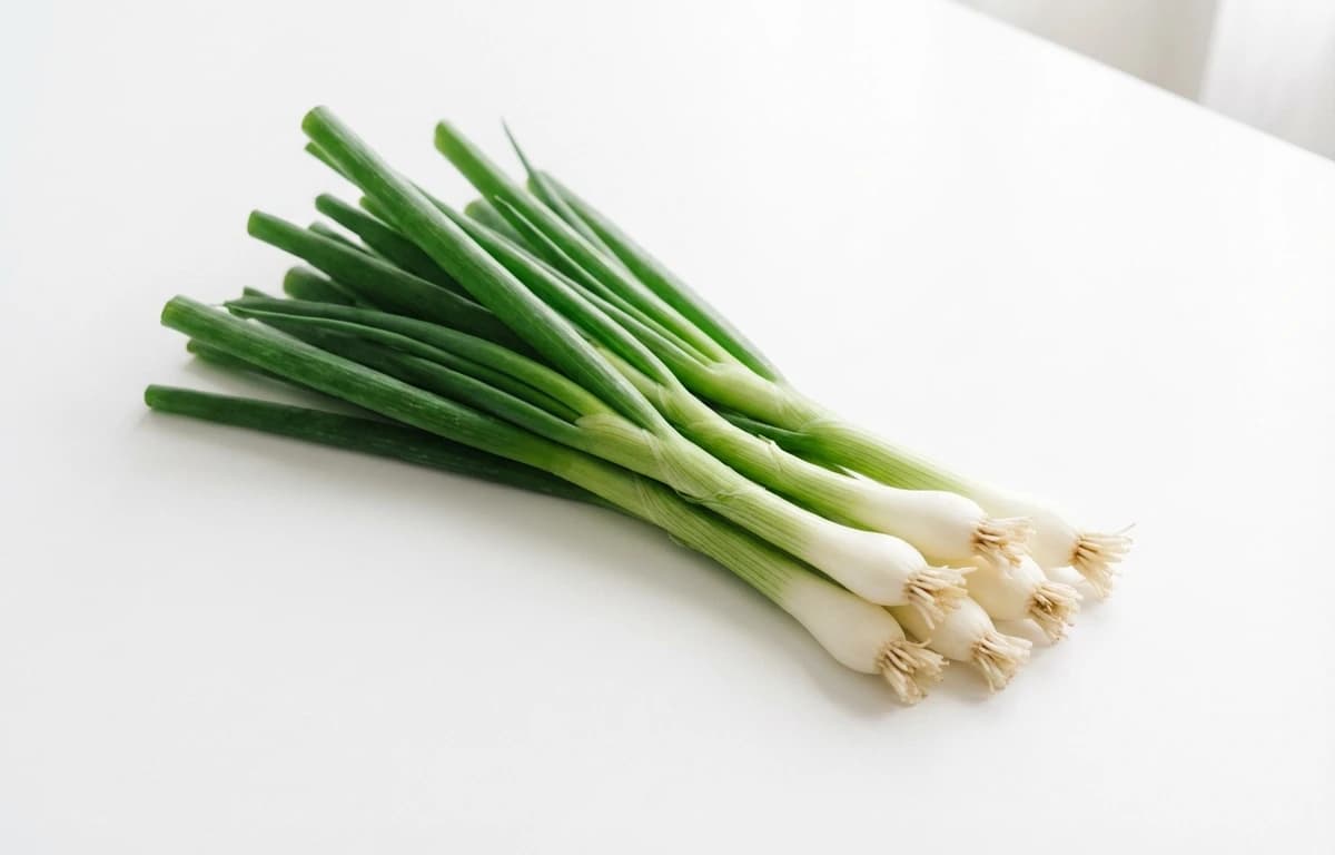 raw scallion