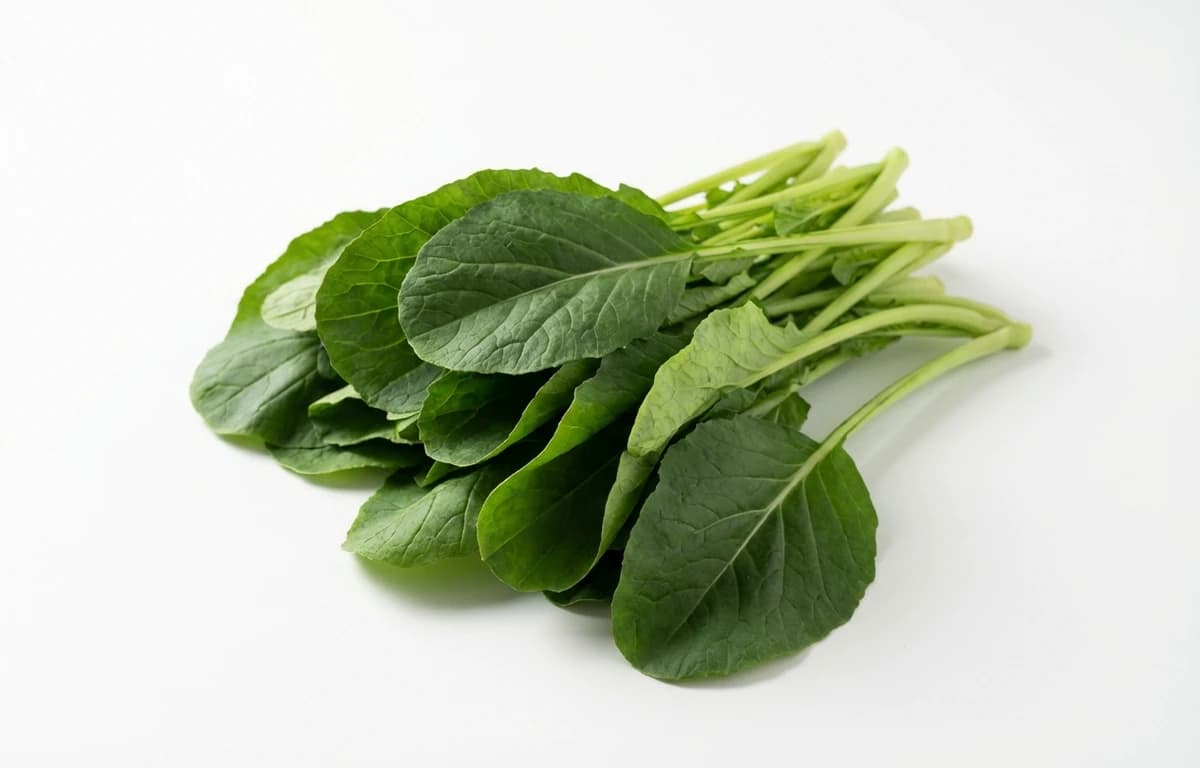 raw tendergreen mustard spinach